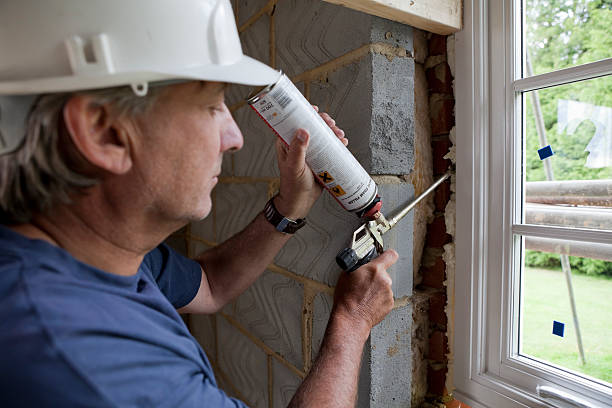 Best Geographic-Specific Insulation Services in Mims, FL